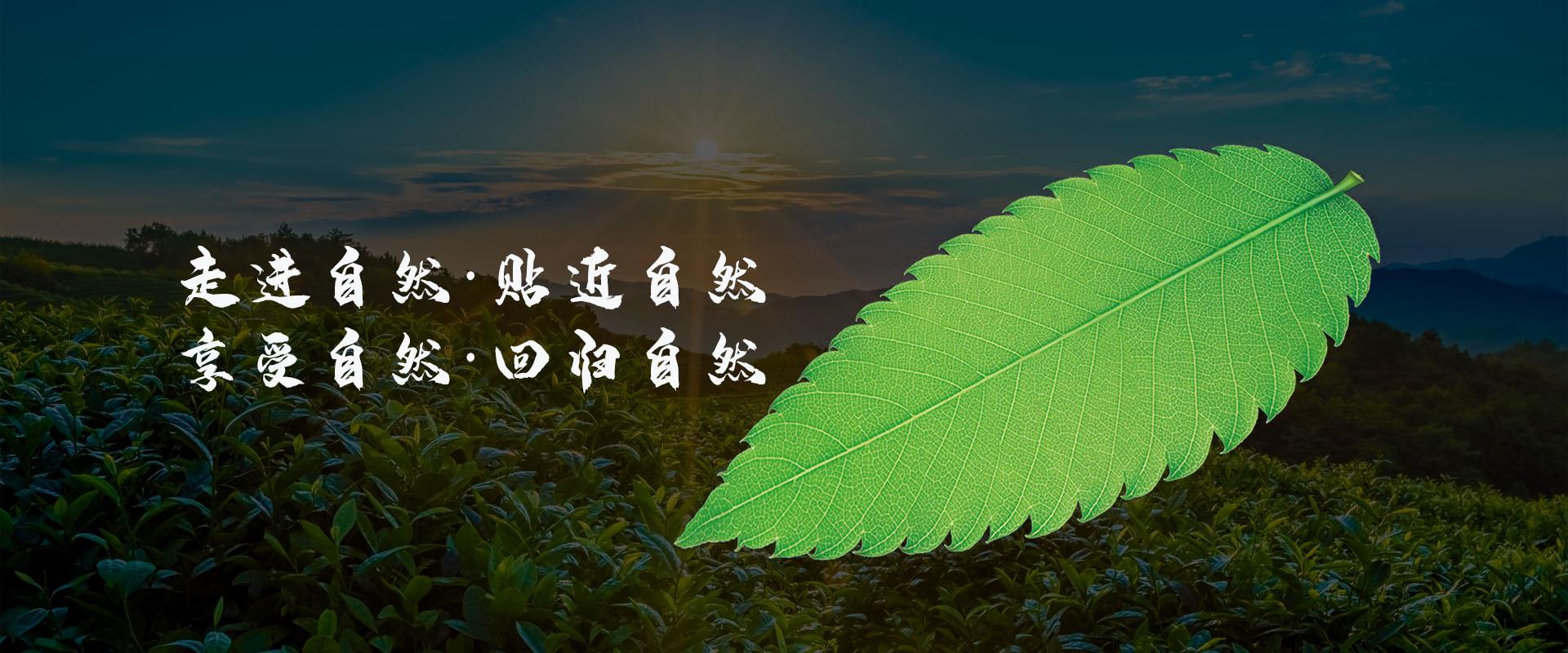 百草,植物纖維,功能纖維,大生物纖維