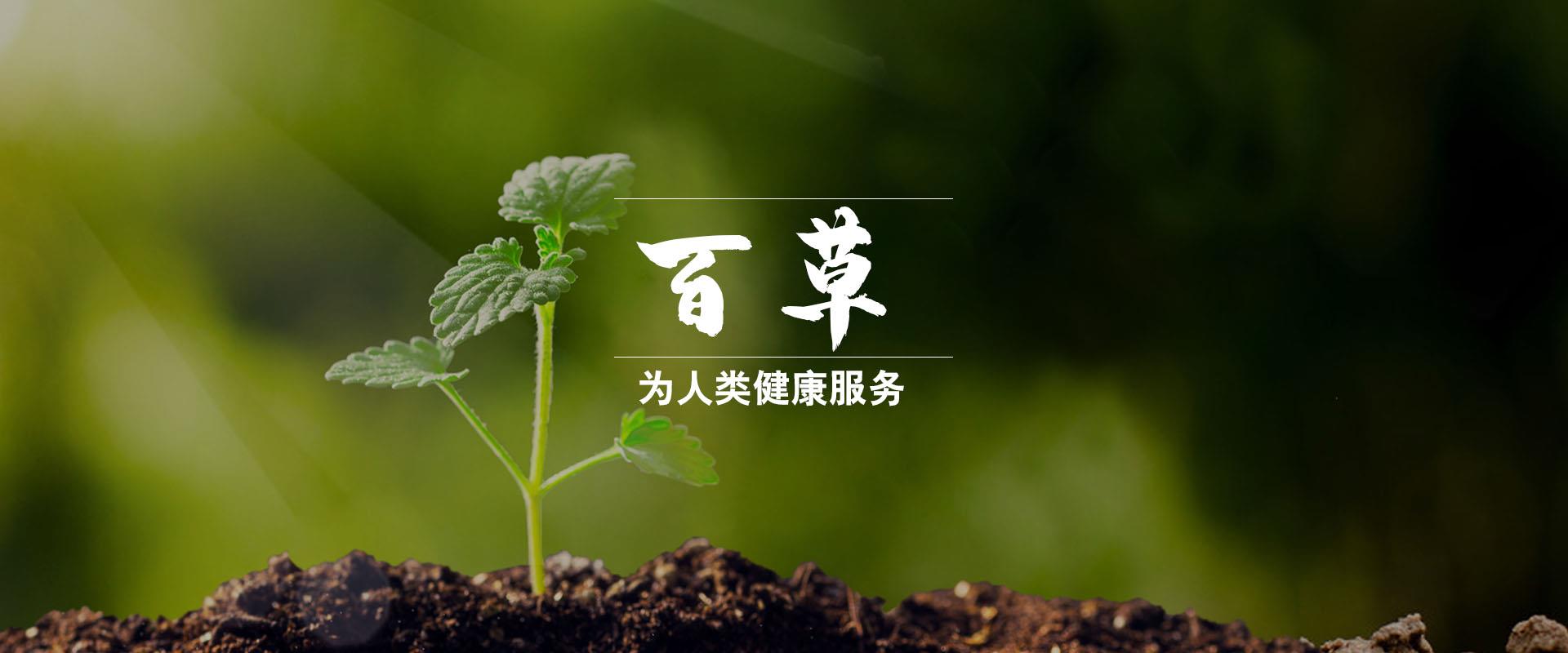 百草,植物纖維,功能纖維,大生物纖維